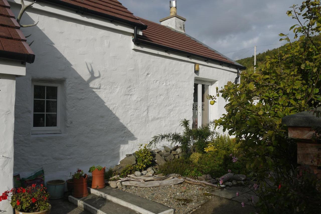 Willow Cottage, Isle Of Arran Thundergay Exterior foto